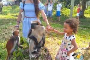 Sjøstjerner i den blå lagunen, svømming med skilpadder, Jozani-skogen og The Rock