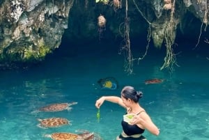 Sjøstjerner i den blå lagunen, svømming med skilpadder, Jozani-skogen og The Rock