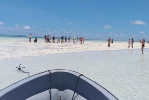 Zanzibar: Blue lagoon & Starfish
