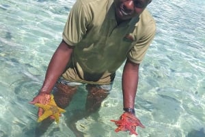 Zanzibar: Blue lagoon & Starfish