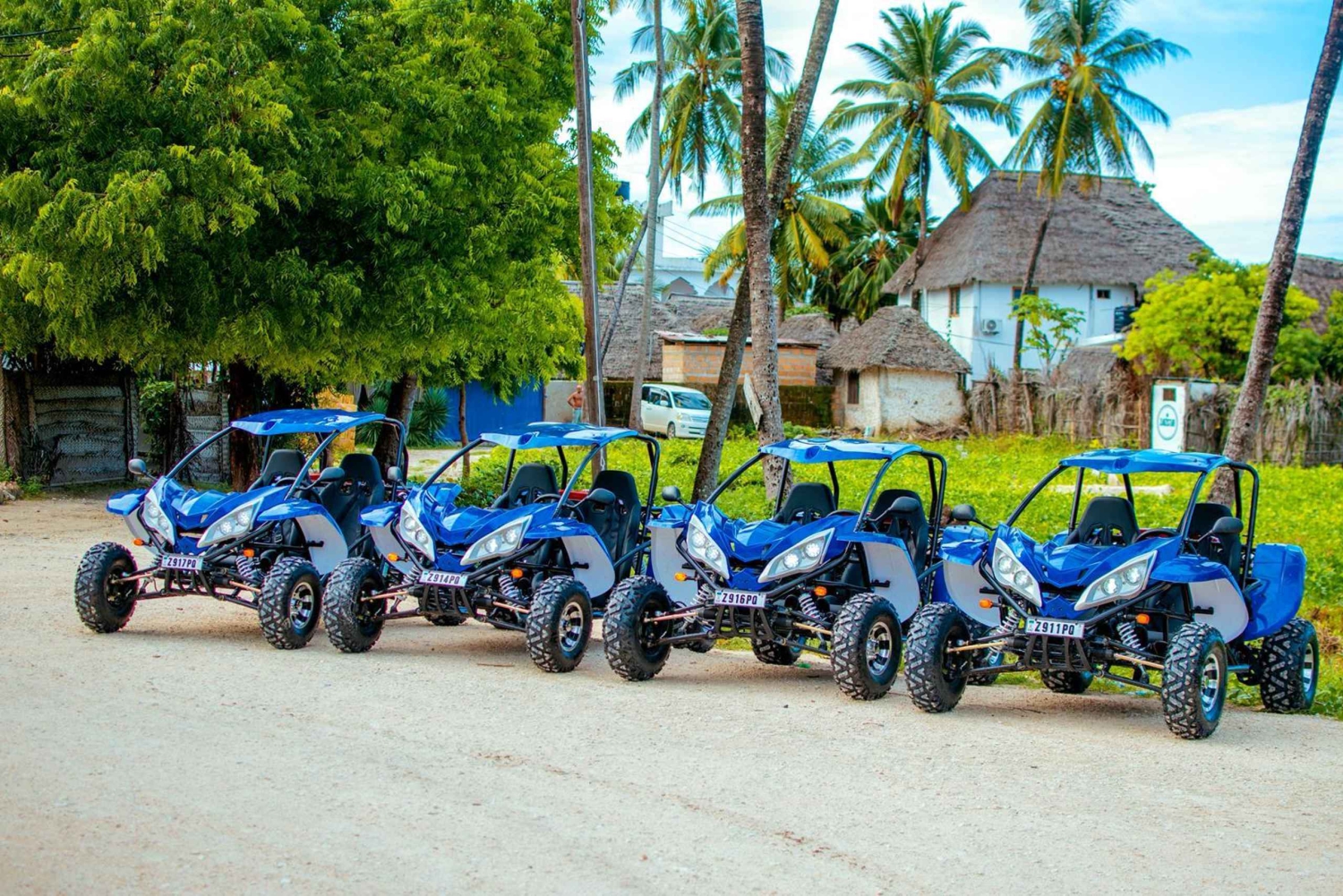 Buggy-eventyr i det sydlige Zanzibar