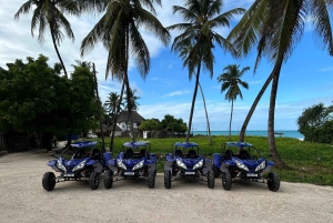 Buggy-eventyr i det sydlige Zanzibar