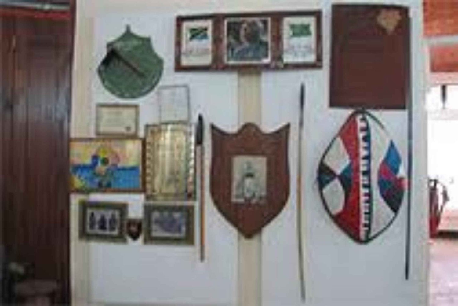 Butiama: Mwalimu Nyerere Memorial Museum Entrébillet