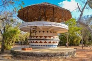 Zanzibar: Jozani-bos, zeeschildpadden en Mtende-strandtour