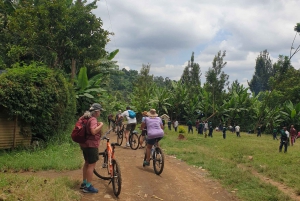Kanot-/kajakpaddling och cykeläventyr i Arusha med lunch