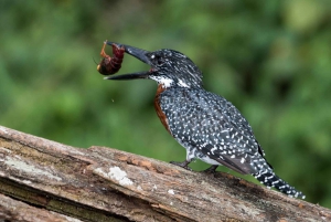 Arusha:Canoeing/Kayaking &/or Cycling Adventure (with Lunch)