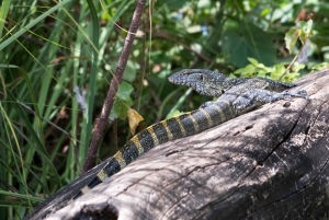 Arusha:Canoeing/Kayaking &/or Cycling Adventure (with Lunch)