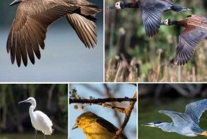 Arusha:Canoeing/Kayaking &/or Cycling Adventure (with Lunch)