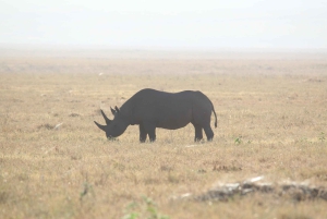 Billig 2-nætters Serengeti-oplevelse
