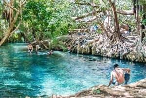 Chemka Hotsprings og servalernes dyreliv Privat dagstur