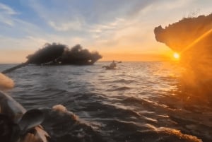 Île de Chumbe : promenade guidée dans la forêt et observation de la faune