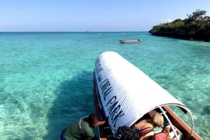 Île de Chumbe : promenade guidée dans la forêt et observation de la faune