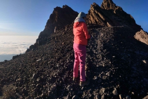 Классический треккинг на Килиманджаро по маршруту Марангу