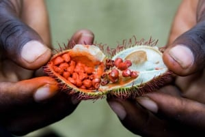 Kajakupplevelse, kryddtur, matlagningskurs på Zanzibar