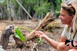 Climbing Mt. Kilimanjaro via Lemosho route 7 days