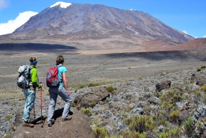 Climbing Mt. Kilimanjaro via Lemosho route 7 days