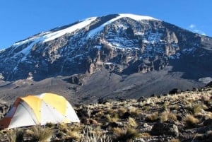 Kilimanjaron kiipeäminen Marangun reitin kautta 6 päivää