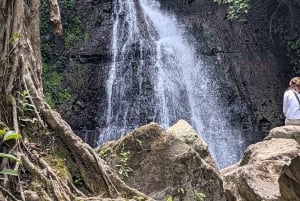 From Arusha: Coffee Farm and Mangalia Waterfalls Tour