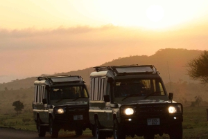 ダルエスサラーム：2日間のミクミ国立公園キャンプサファリ