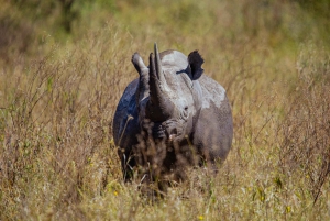 ダルエスサラーム：2日間のミクミ国立公園キャンプサファリ