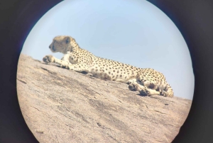 Dar es Salaam: 2-dniowe safari w Parku Narodowym Saadani