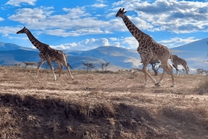 Dar es Salaam: 2-dniowe safari do Parku Narodowego Mikumi i …