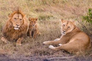 Dar Es Salaam: 2 Days 1 Night Safari at Mikumi National Park