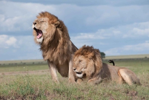 Dar es Salaam: 3 päivän pyöräily- ja safarielämys Mikumissa