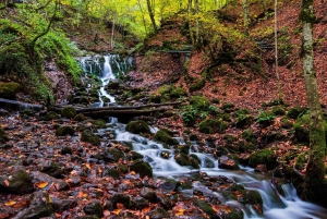 Dar es Salaam: 3-dages safari til Maasai og Mikumi Nationalpark