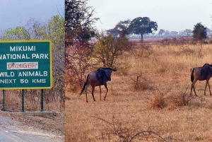 Dar es Salaam : safari de 3 jours dans le parc national de Mikumi avec repas