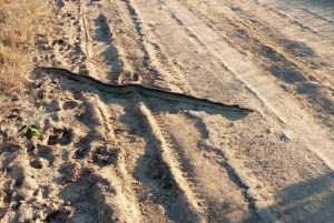 Dar es Salaam : safari de 3 jours dans le parc national de Mikumi avec repas