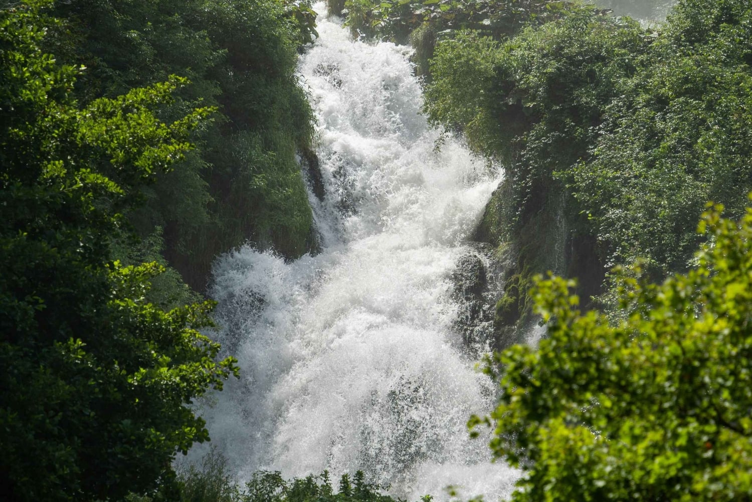 Dar es Salaam: Safari de 3 días por Mikumi y Udzungwa con tren