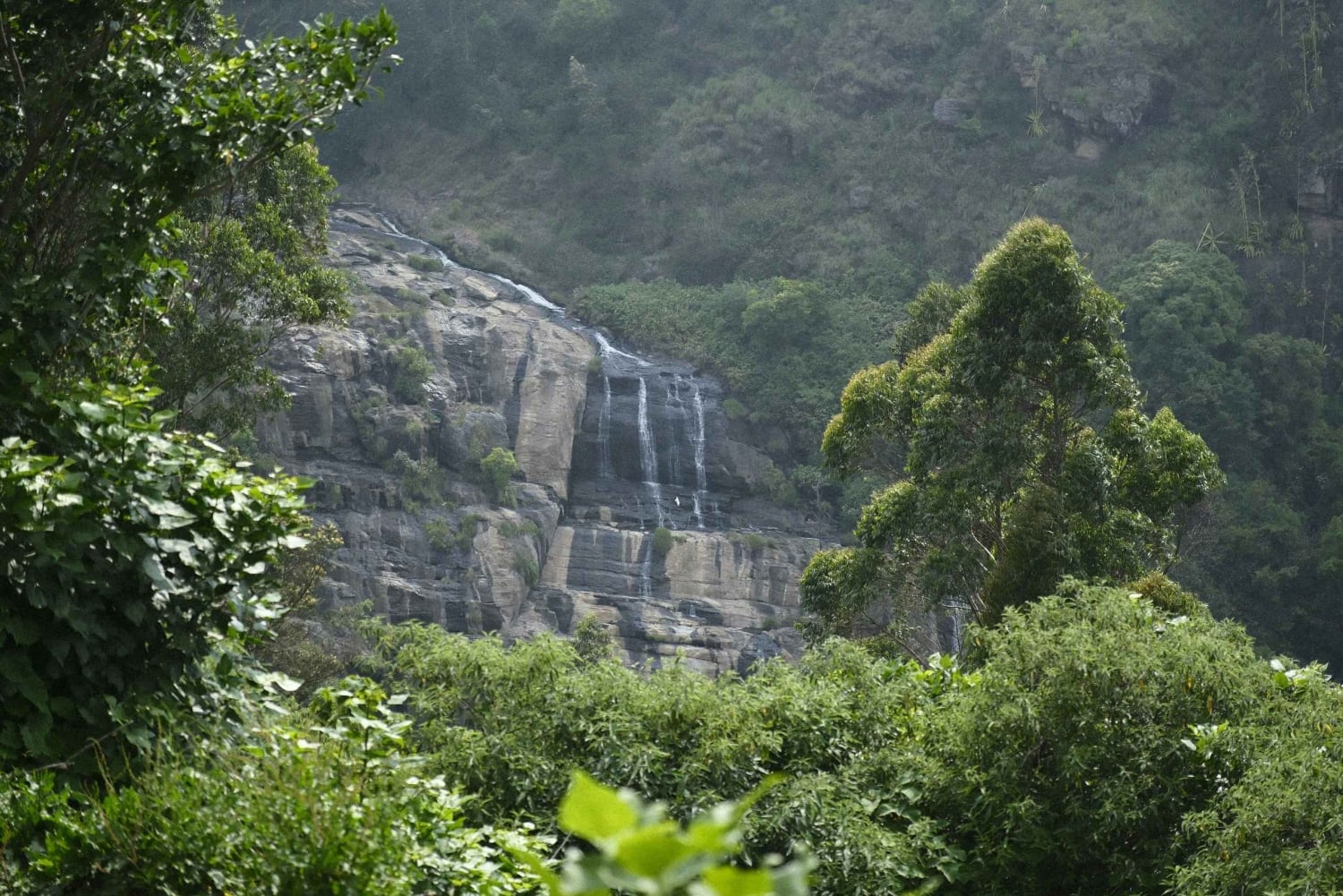 Dar es Salaam: Safari de 3 días por Mikumi y Udzungwa con tren