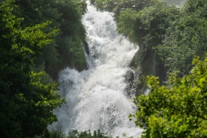 Dar es Salaam: Safari de 3 días por Mikumi y Udzungwa con tren