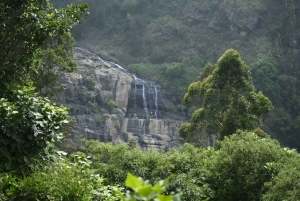 Dar es Salaam: Safari de 3 días por Mikumi y Udzungwa con tren