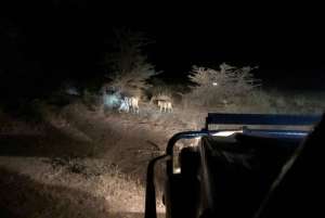 Dar es Salaam: Tour de 4 días por Mikumi y Udzungwa con safari nocturno