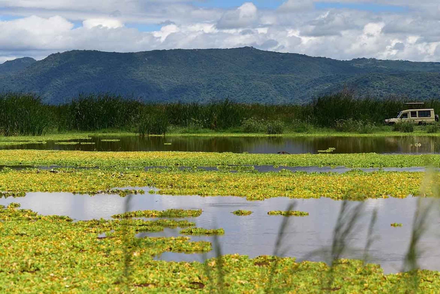 Дар-эс-Салам: 5-дневное сафари по национальным паркам Микуми и Ньерере