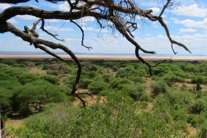 Дар-эс-Салам: 5-дневное сафари по национальным паркам Микуми и Ньерере