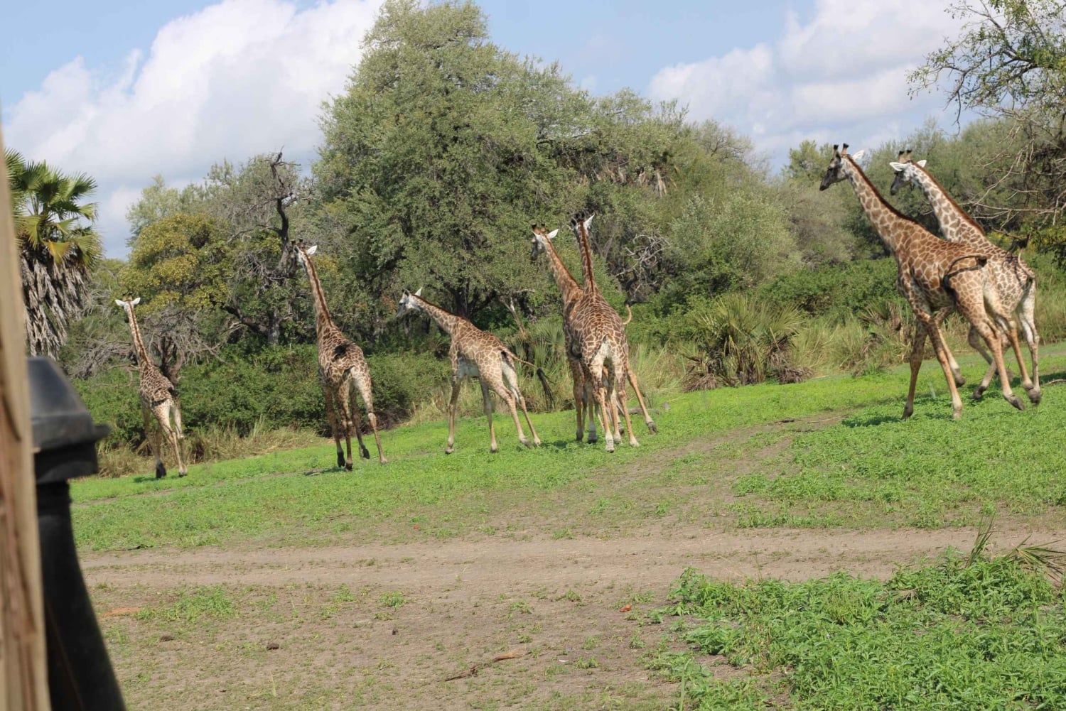 Dar es Salaam: safari de 5 dias no Parque Nacional de Nyerere
