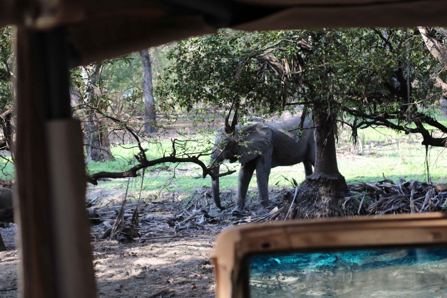 Dar es Salaam: safari de 5 dias no Parque Nacional de Nyerere