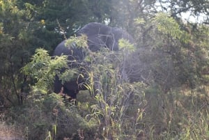 Dar es Salaam: safari de 5 dias no Parque Nacional de Nyerere