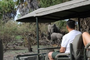 Dar es Salaam: safari de 5 dias no Parque Nacional de Nyerere