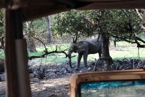 Dar es Salaam: safari de 5 dias no Parque Nacional de Nyerere