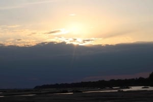 Dar es Salaam: safari de 5 dias no Parque Nacional de Nyerere