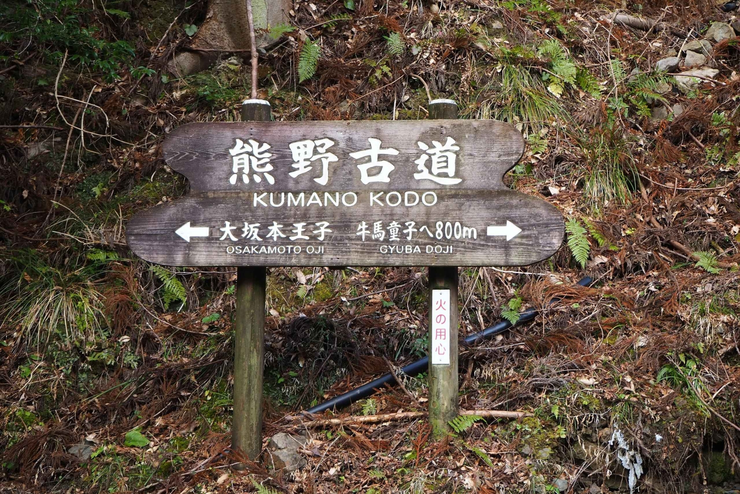 Dar es Salaam: 5-dniowa wycieczka do rezerwatu Selous i Kilwa