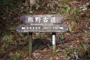 Dar es Salaam: 5-dniowa wycieczka do rezerwatu Selous i Kilwa