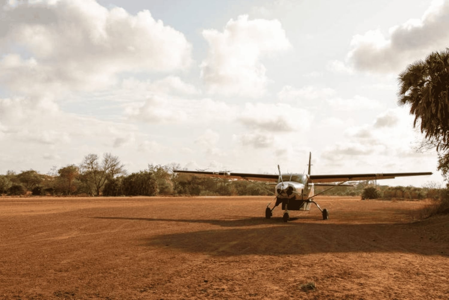 Dar es Salaam: 5-daagse safari-escapade in het zuiden