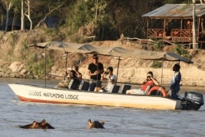 Dar es Salaam: 5-daagse safari-escapade in het zuiden