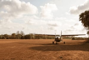 Dar es Salaam: 5-daagse safari-escapade in het zuiden