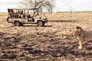 Dar es Salaam: 5-daagse safari-escapade in het zuiden